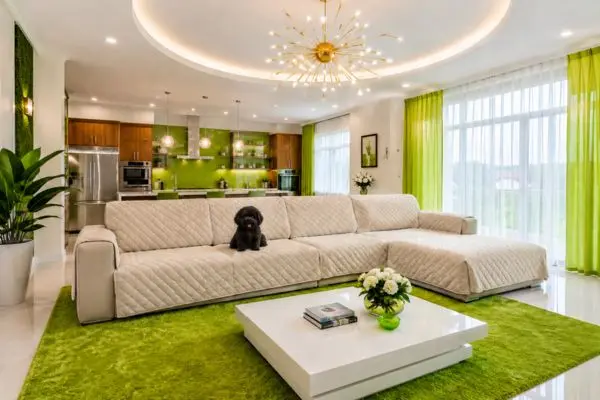 Black puppy sitting on a cream quilted sofa cover for dogs in a modern green living room.